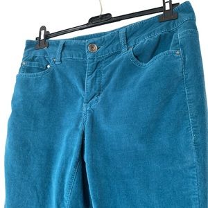 🎼 Cute DKNY blue corduroy Jeggins with a velour finish size 6